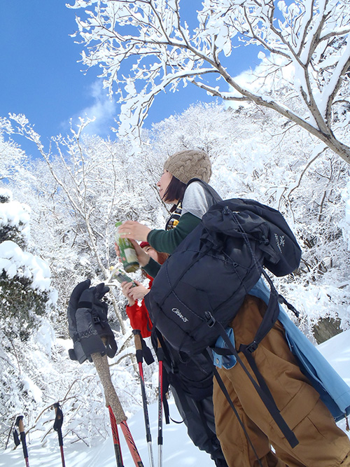 snowforest